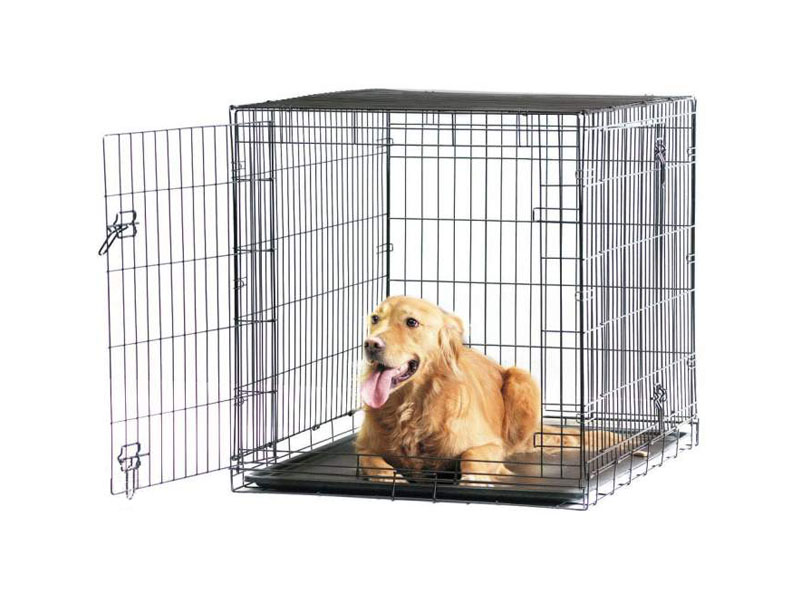 Cage pliable pour chien