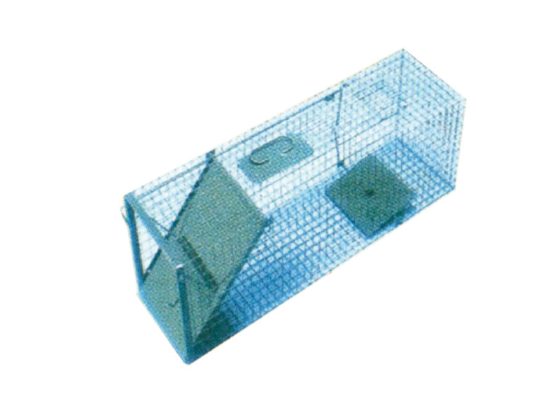 Cage Piège de Capture Chien - DISTRIBUTEUR PRODUITS HYGIÈNE